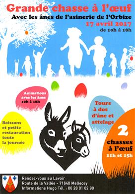 Chasse aux oeufs