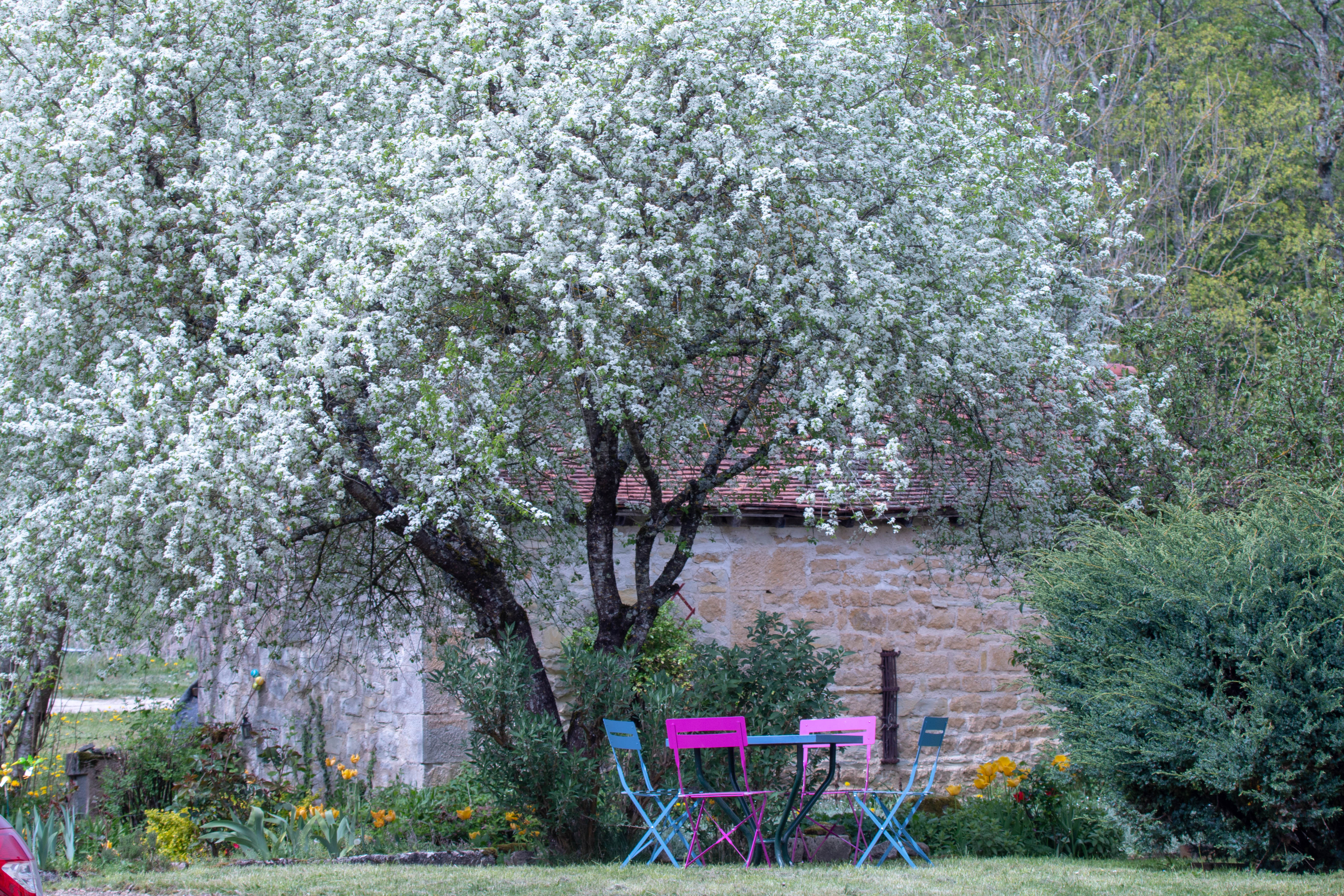 La Grande Vevre Tonnerrois Chablis Escales En Bourgogne Office De Tourisme