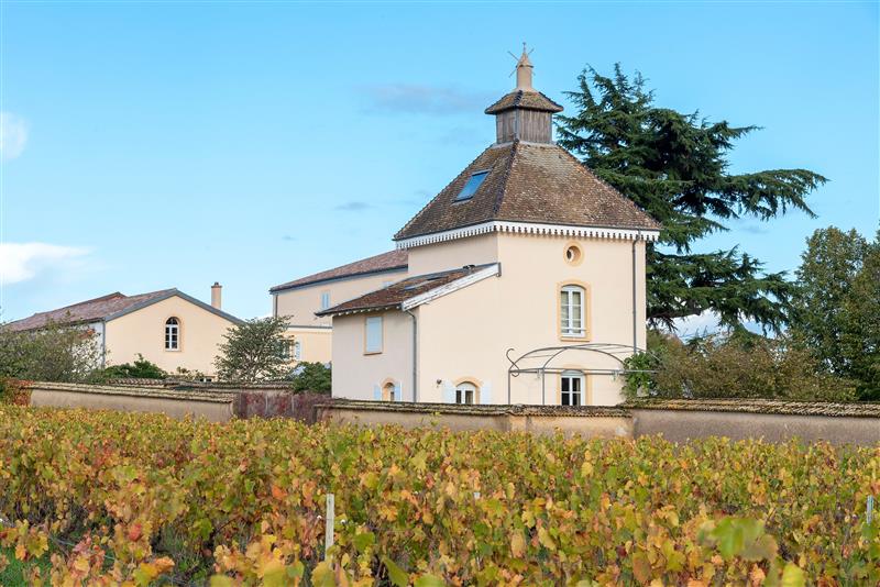 la-chapelle-de-guinchay-la-melardiere-rando-michel-falcotet-3813